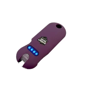 SMART 24,000,000 Stun Gun Keychain